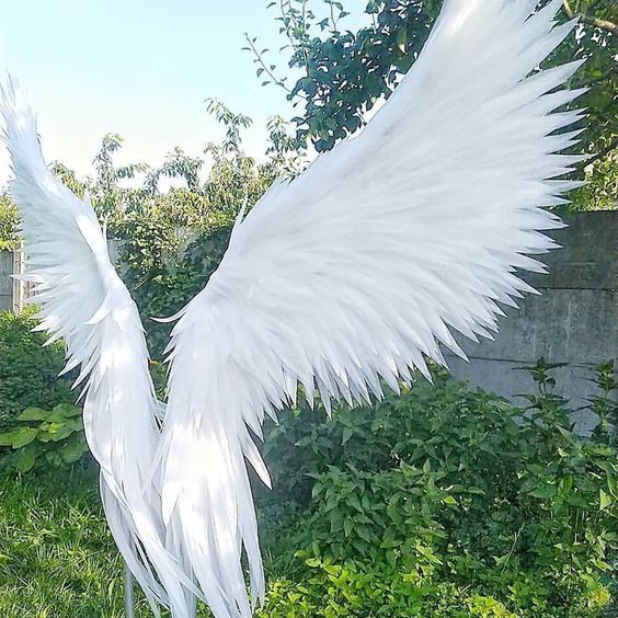 Angel wings "Gabriel"