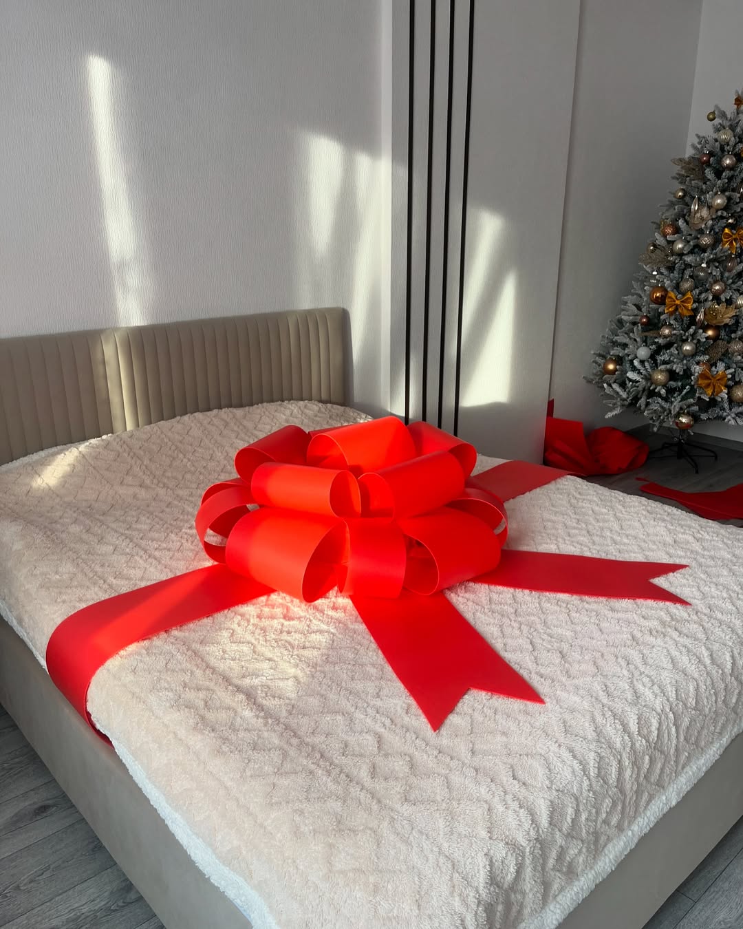 Large Bow Isolon 50 cm (20 inc)