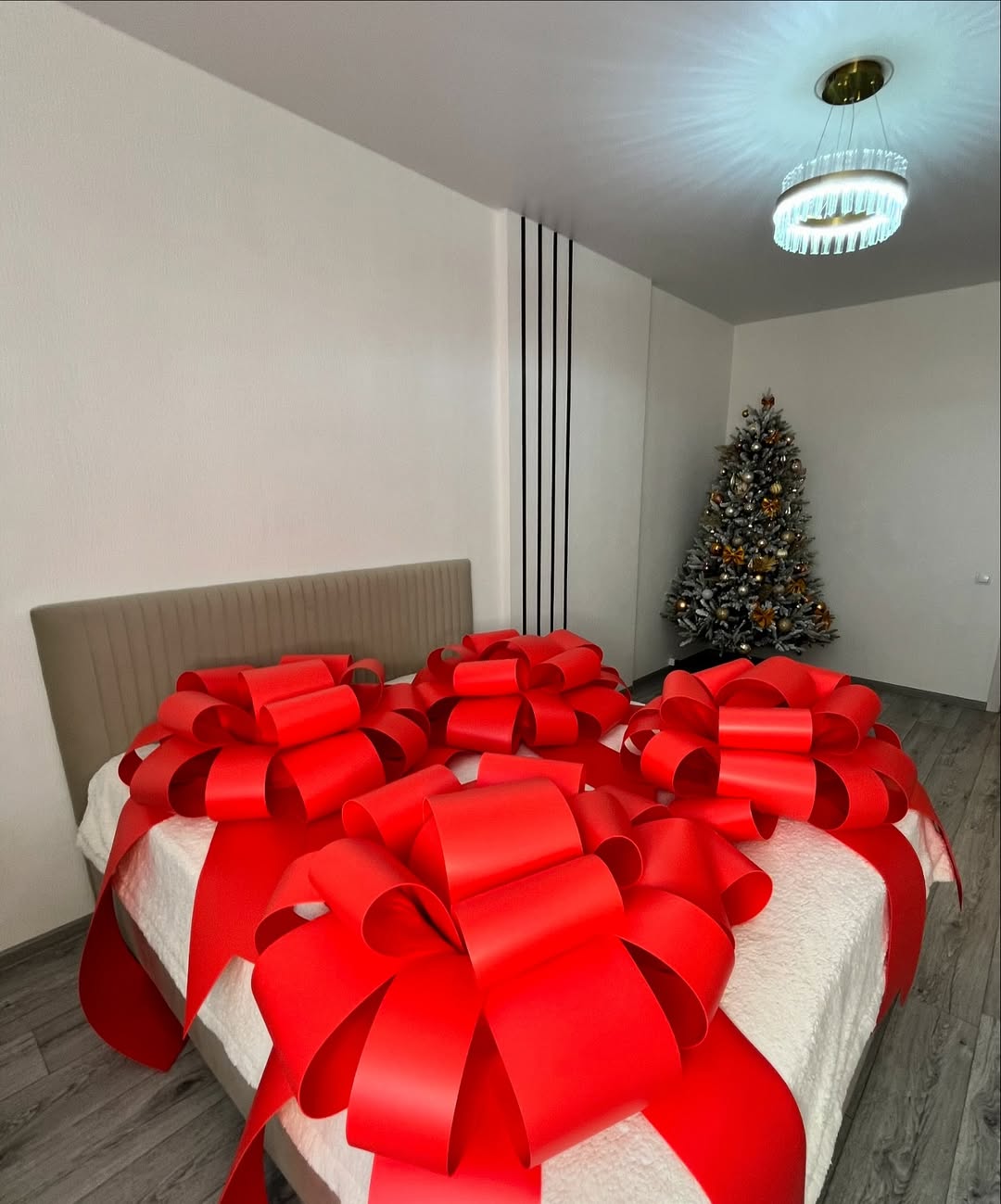 Large Bow Isolon 50 cm (20 inc)