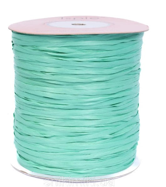 Premium Sea Water ISPIE Matte Raffia Yarn cone with label n31 – soft textured plant fiber for summer bags and hats