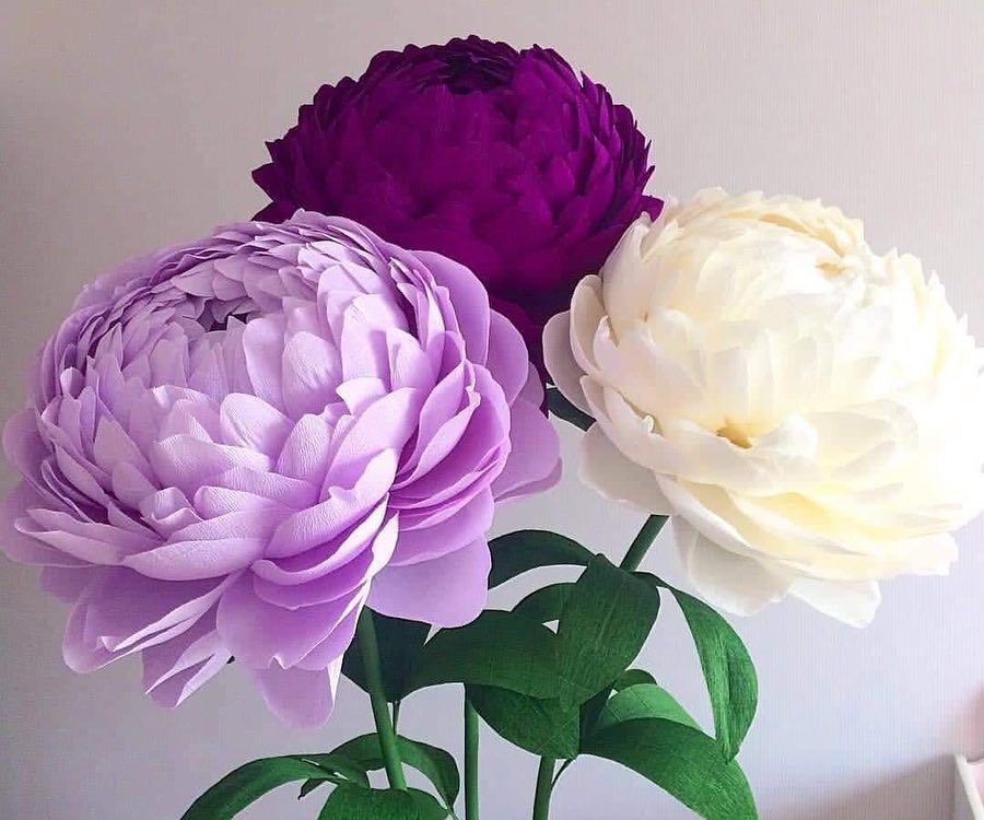 Set of Giant flowers wedding decoration Peonies and roses set large paper flowers for decorating holidays and weddings Set of giant flowers