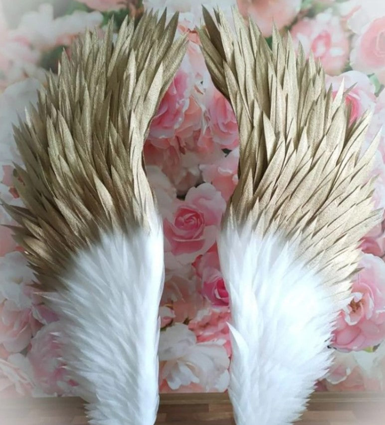 Angel wings "Paula"