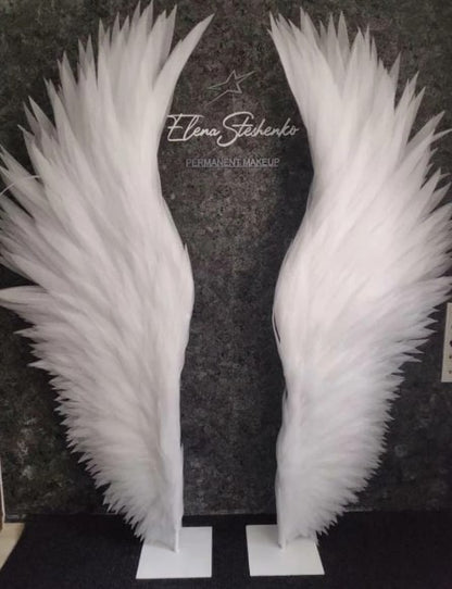 Angel wings "Paula"