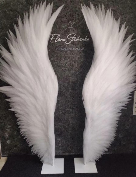 Angel wings "Andge"