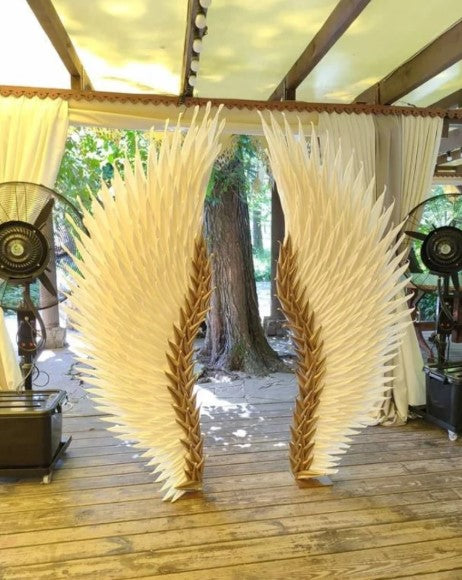 Angel wings "Paula"