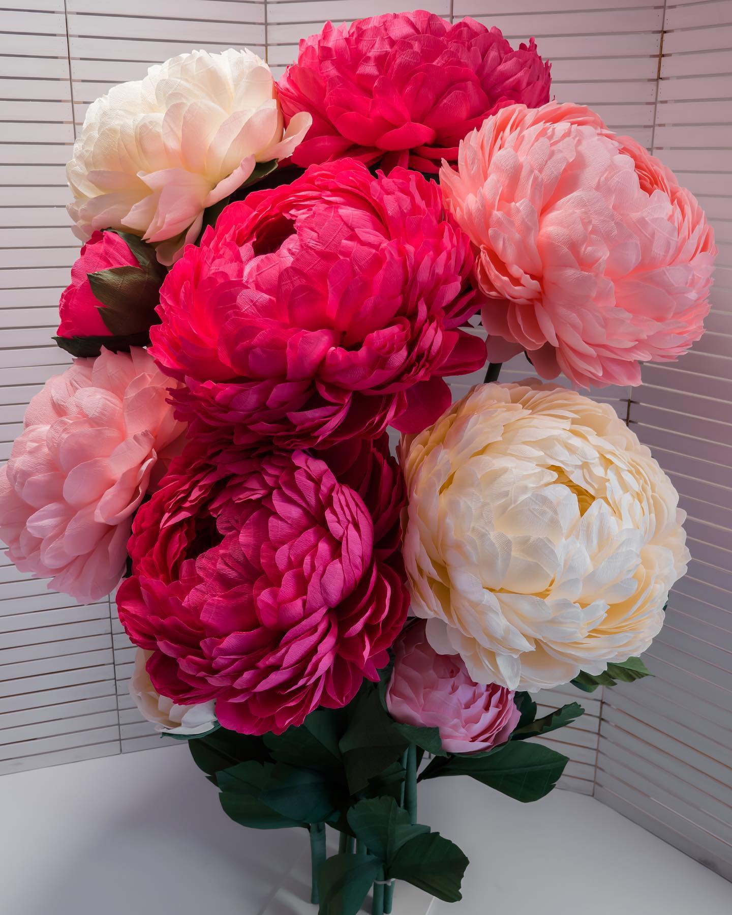 Giant paper peony flowers in vibrant hot pink, magenta and cream colors arranged in a beautiful bouquet against white blinds. Large handmade 65cm crepe paper peonies for wedding and home decor.