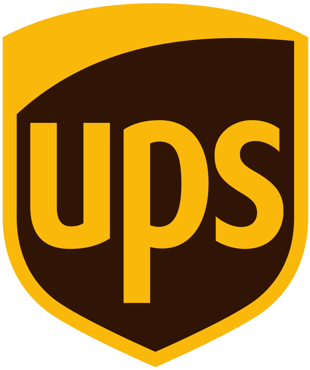 UPS express delivery