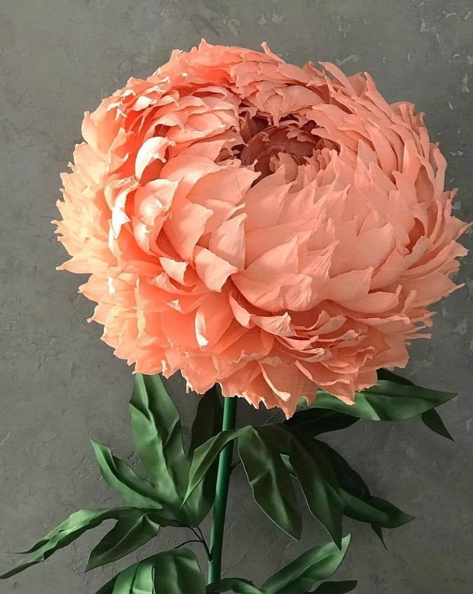 Italian Crepe Paper Roll - COLOR 560 - FuzzyRoom