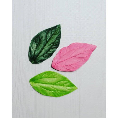 Peony leaf veiner/mold 10,5х5,5 cm (4,1x2,2 inches) №4 - pattern for foamiran and isolon leaves