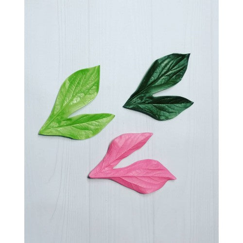 Peony leaf veiner/mold 13х5 cm (5,1x2 inches) №6 - pattern for foamiran and isolon leaves
